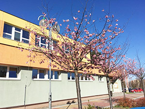 Základní a mateřská škola (Kopřivnice)